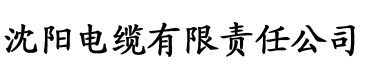 国产成人综合久久精品免费电缆厂logo